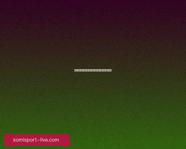 在时光的彼岸寻梦追忆，回望曾经的岁月与心中的温暖